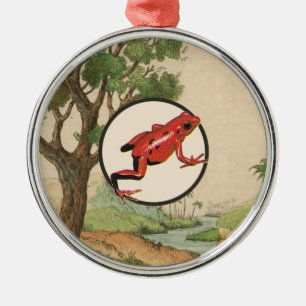 Red Poison Dart Frog Natural Habitat Illustration Metal Ornament