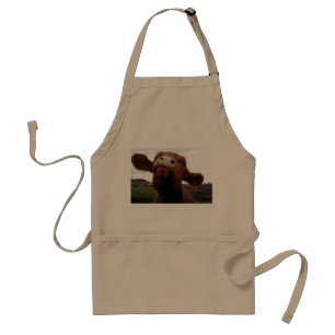 Red Poll cow Apron