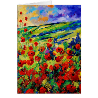 Red poppies 78