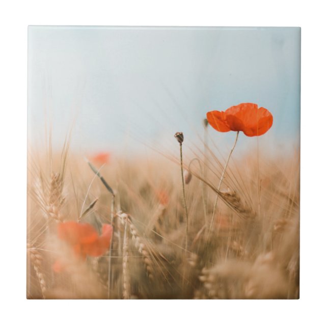 Red Poppies and Gold Barley Ceramic Tile (Front)