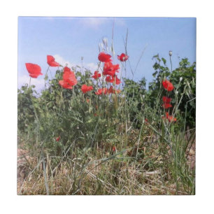 Red Poppies and Vines Ceramic Tile