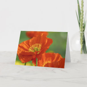 Red Poppies Card