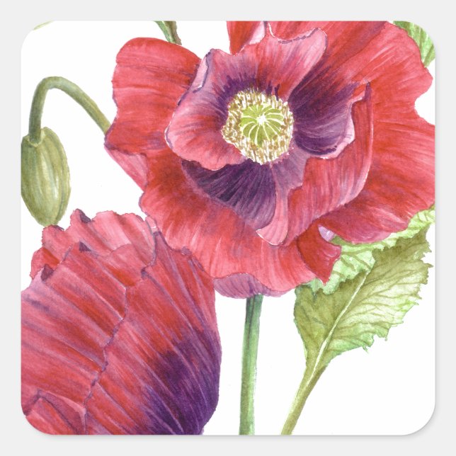 Red Poppies Floral Art Square Sticker (Front)