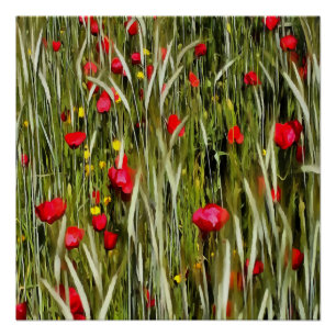 Red Poppies In A Wheatfield Painting Poster