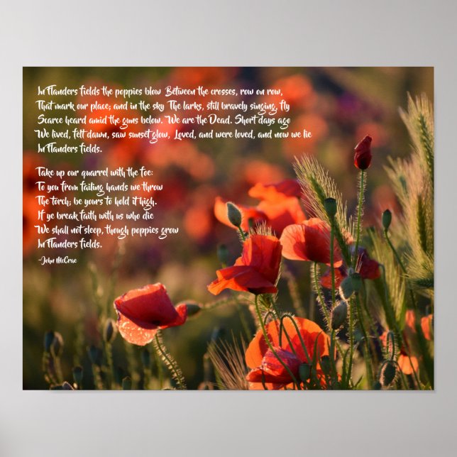 Red Poppies, In Flanders Fields Poem Poster (Front)