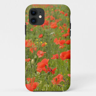 Red Poppies in the field iPhone 11 Case