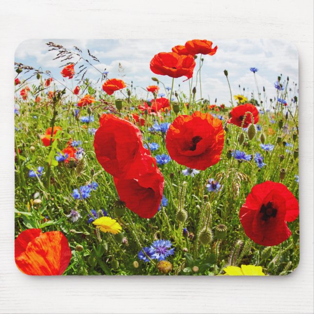 Red Poppies Mouse Pad (Front)