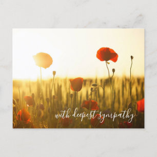 Red Poppies Open Field With Deepest Sympathy Postcard