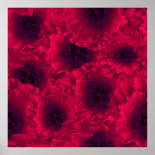 Red poppies poster