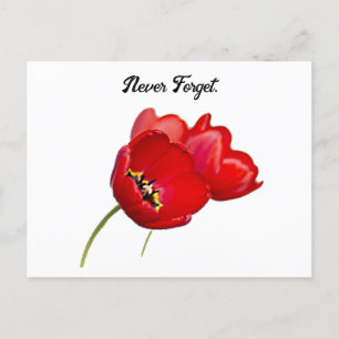 Red Poppies Remembrance Day Never Forget Art Postcard