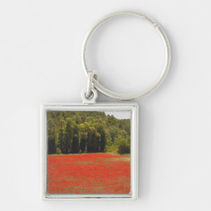 Red poppies spring Provence France Key Ring