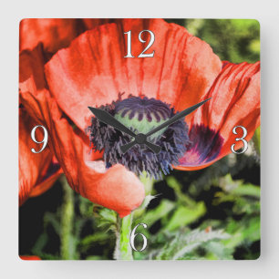 Red Poppies & Stamen Flowers Flora Photo Clock