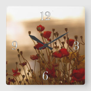 Red Poppies & Sunlight Flowers Flora Photo Clock