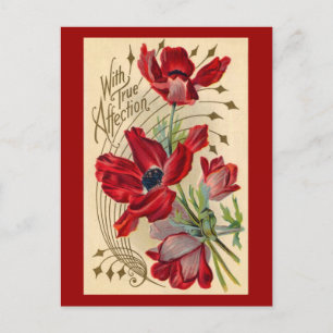 Red Poppies – Valentine Holiday Postcard