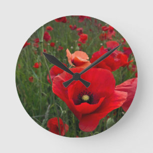 Red Poppies Wall Clock