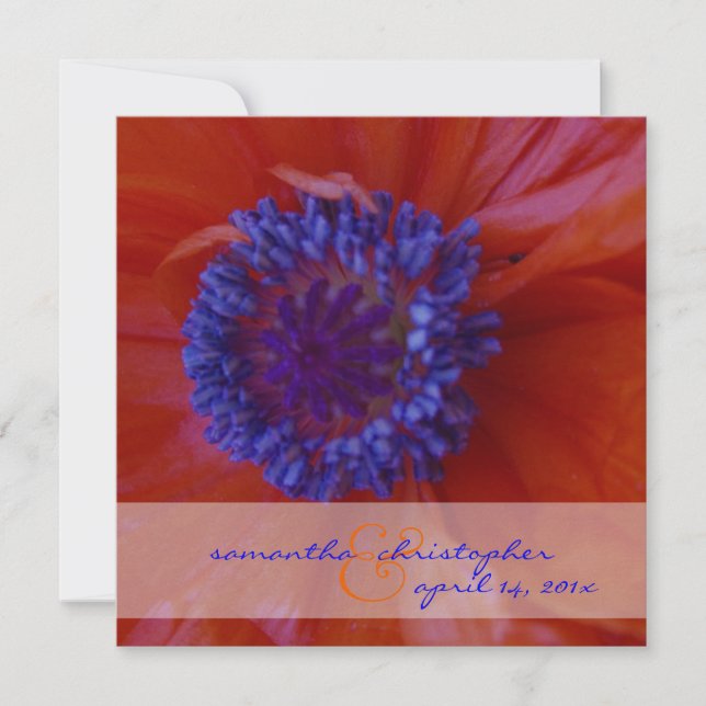 Red Poppies/wedding Invitations (Front)