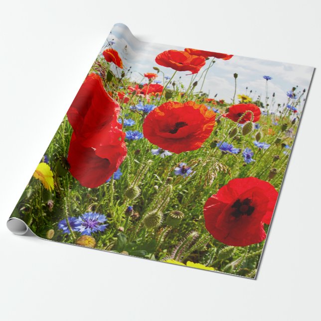 Red Poppies. Wrapping Paper (Unrolled)