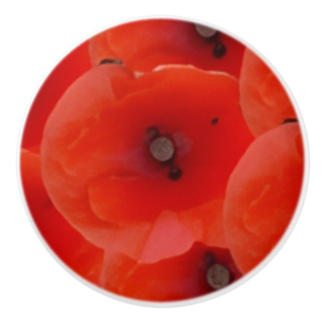 Red Poppoes Design Ceramic Pull Handles (Front)