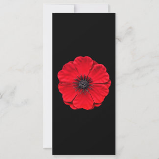 red poppy