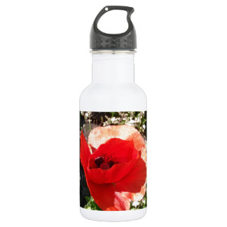 Red Poppy 532 Ml Water Bottle