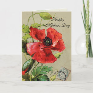 RED POPPY  AND BUTTERFLY / Mother's Day Card