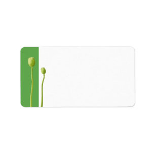 Red Poppy apple Address Label