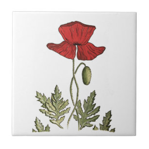 Red Poppy Ceramic Tile