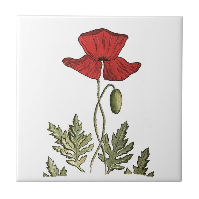 Red Poppy Ceramic Tile (Front)