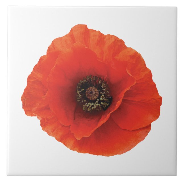 Red Poppy Ceramic Tile (Front)
