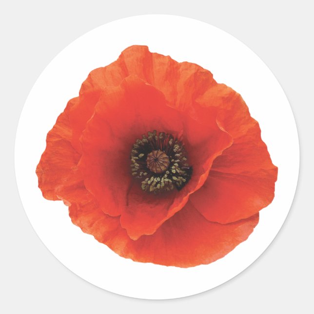Red Poppy Classic Round Sticker (Front)