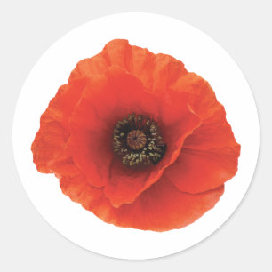 Red Poppy Classic Round Sticker
