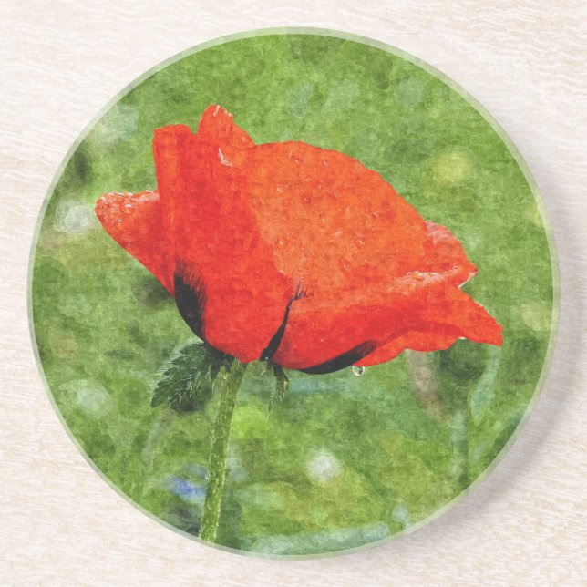Red Poppy Coaster (Front)