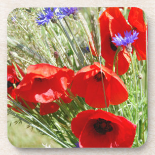 Red Poppy, Cottage Garden photo Coaster