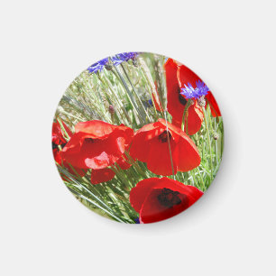 Red Poppy, Cottage Garden photo Magnet