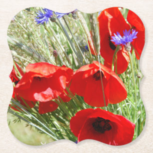 Red Poppy, Cottage Garden photo Paper Coaster