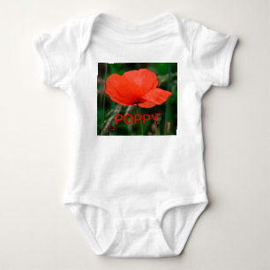 Red Poppy Creeper