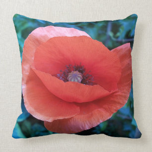 Red Poppy. Cushion