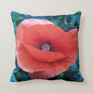 Red Poppy. Cushion