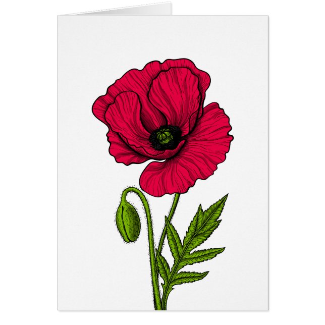 Red poppy drawing (Front)