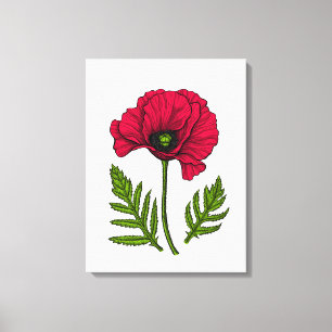 Red poppy drawing 3 canvas print