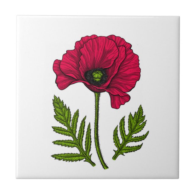 Red poppy drawing 3 ceramic tile (Front)