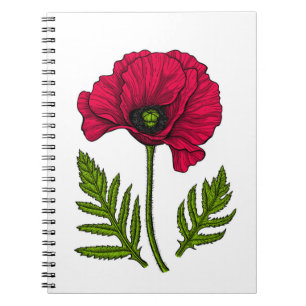 Red poppy drawing 3 notebook