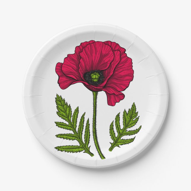 Red poppy drawing 3 paper plate (Front)