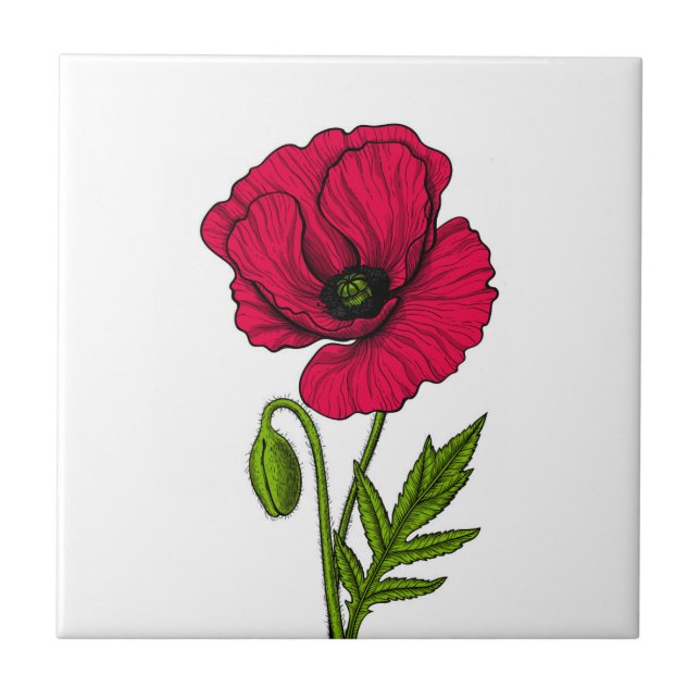 Red poppy drawing ceramic tile (Front)