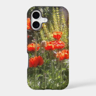 Red Poppy Feilds