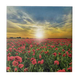 Red Poppy Field At Sunset Ceramic Tile