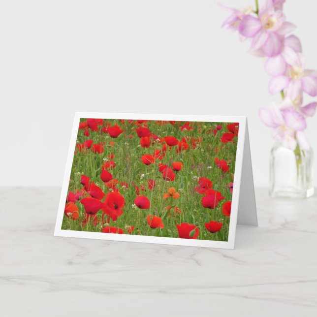 Red Poppy Field Landscape Card (Orchid)