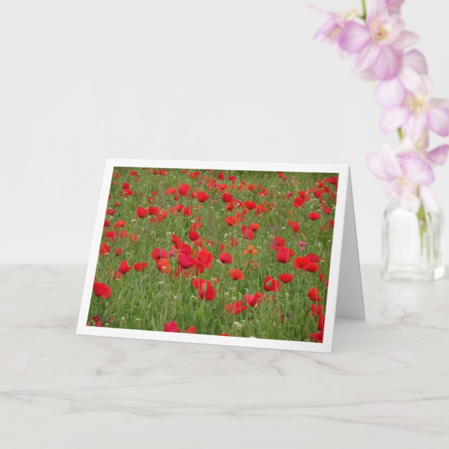 Red Poppy Field Landscape Card (Orchid)