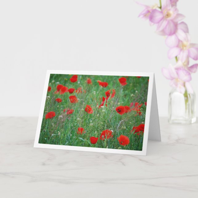 Red Poppy Field Landscape Card (Orchid)