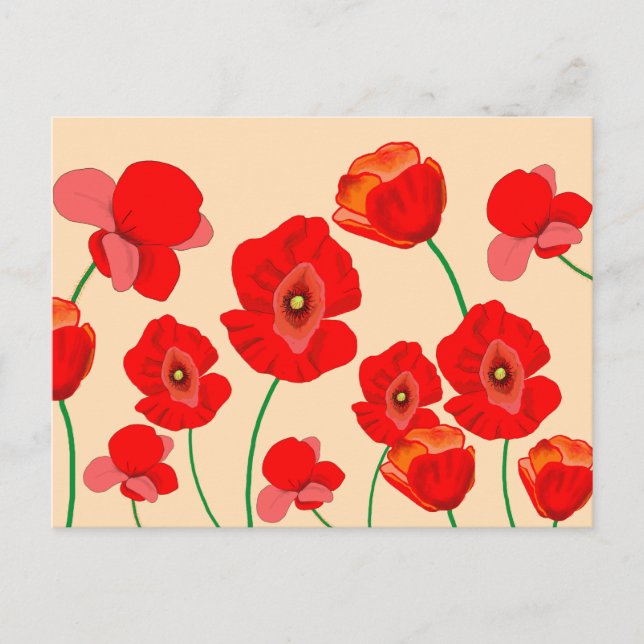 Red Poppy Field  Postcard (Front)